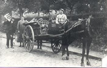 Polidoor Van Dooren - Heldergem