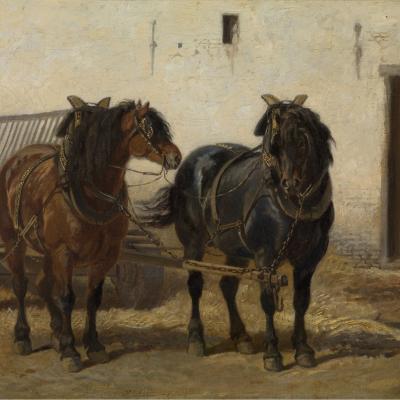 NINOVE - Van paardentuig tot paardenpret