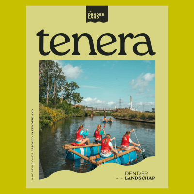 Tenera 4: Denderlandschap
